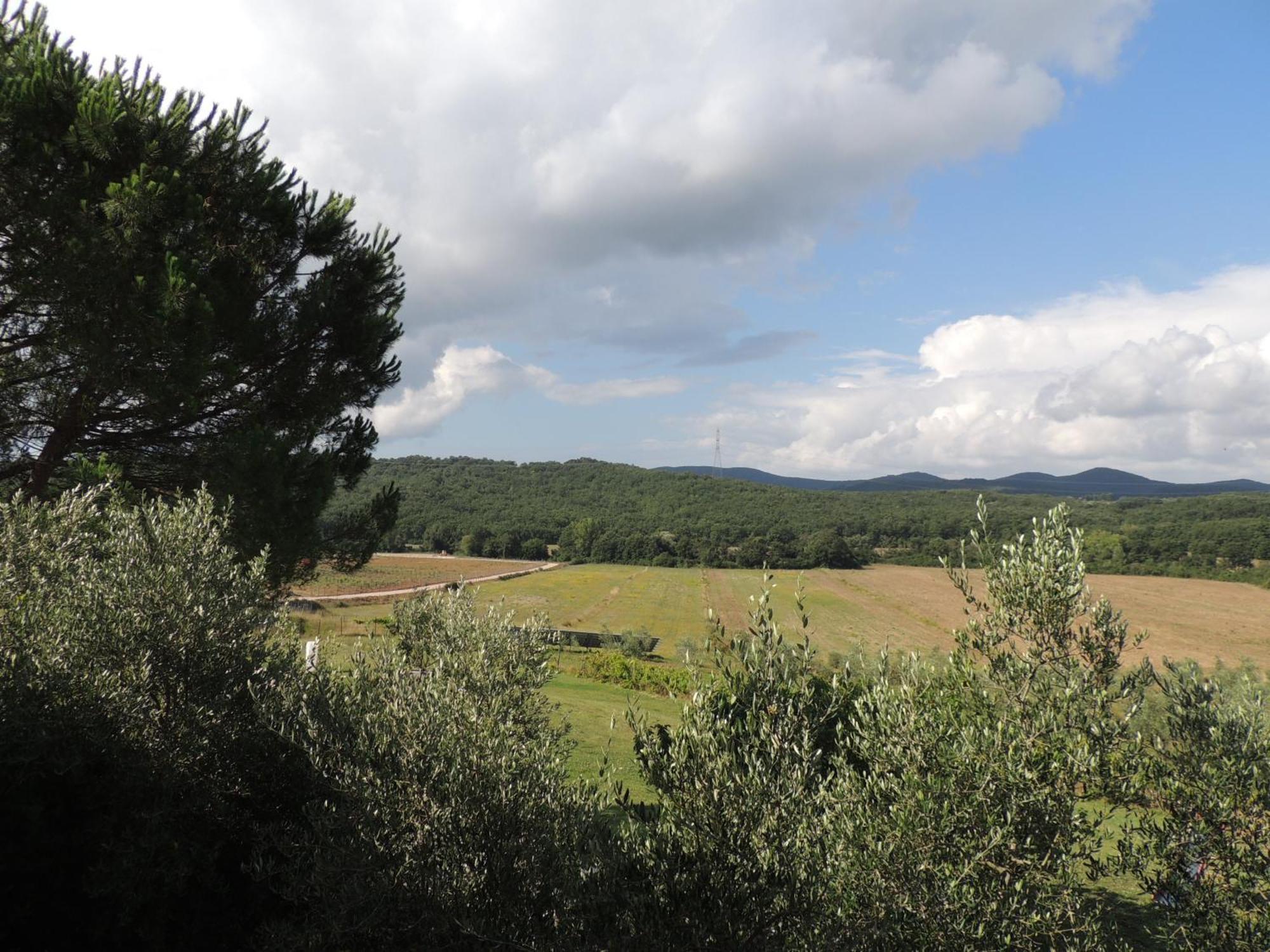 Agriturismo Podere Borgognano Massa Marittima Værelse billede