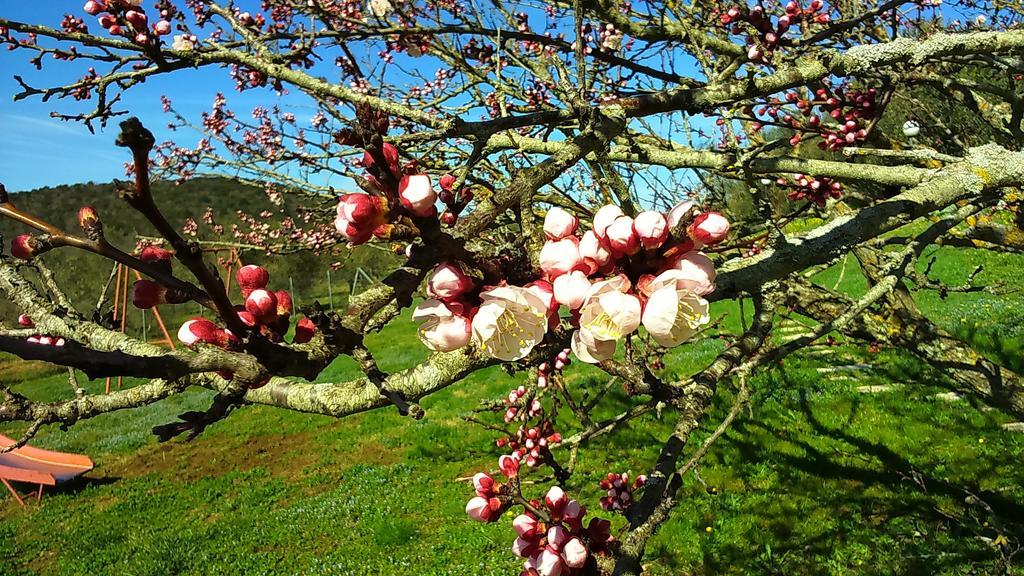 Agriturismo Podere Borgognano Massa Marittima Eksteriør billede