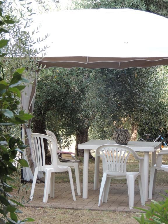 Agriturismo Podere Borgognano Massa Marittima Eksteriør billede