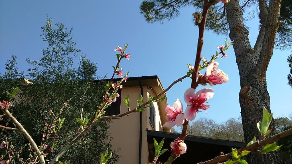 Agriturismo Podere Borgognano Massa Marittima Eksteriør billede