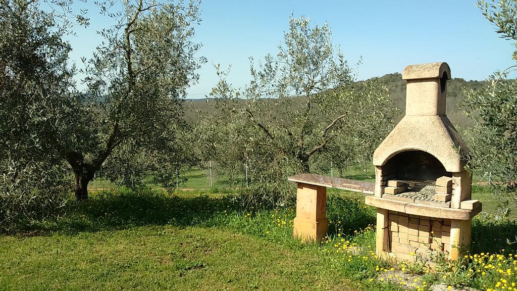 Agriturismo Podere Borgognano Massa Marittima Eksteriør billede