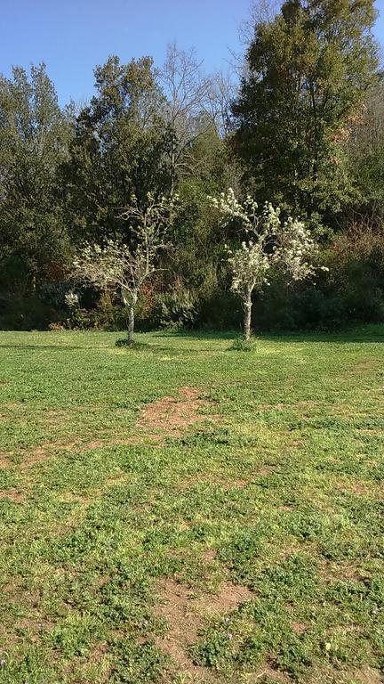 Agriturismo Podere Borgognano Massa Marittima Eksteriør billede
