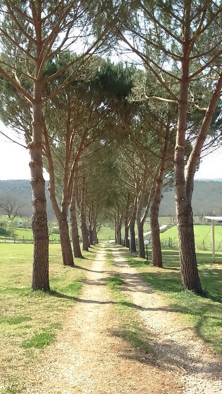 Agriturismo Podere Borgognano Massa Marittima Eksteriør billede
