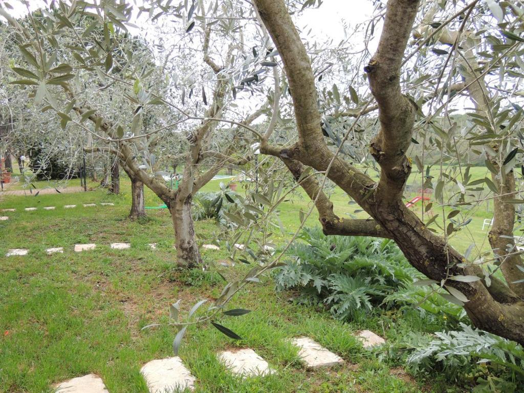 Agriturismo Podere Borgognano Massa Marittima Eksteriør billede