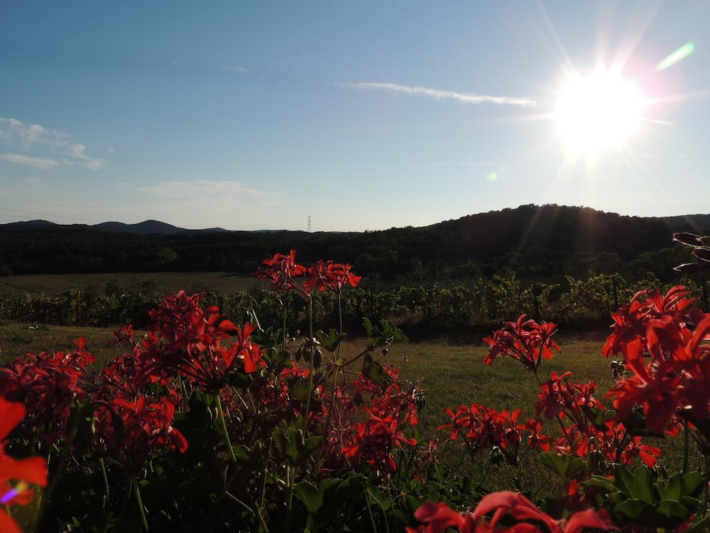 Agriturismo Podere Borgognano Massa Marittima Eksteriør billede