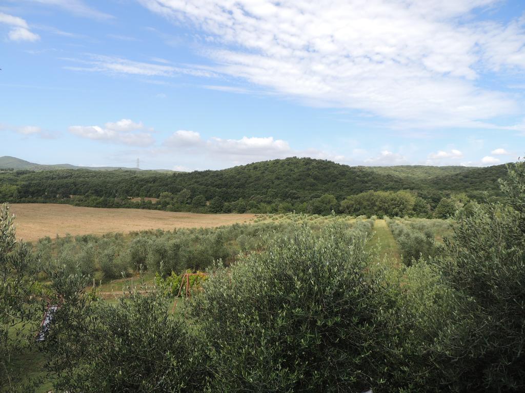 Agriturismo Podere Borgognano Massa Marittima Værelse billede